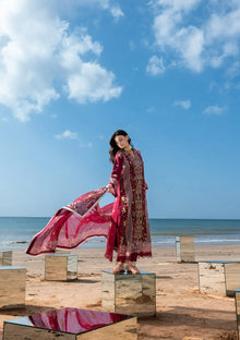 Deep magenta embroidered cotton suit with organza dupatta full model view