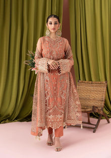 Dusty peach heavy embroidered net 3 piece unstitched suit front model view
