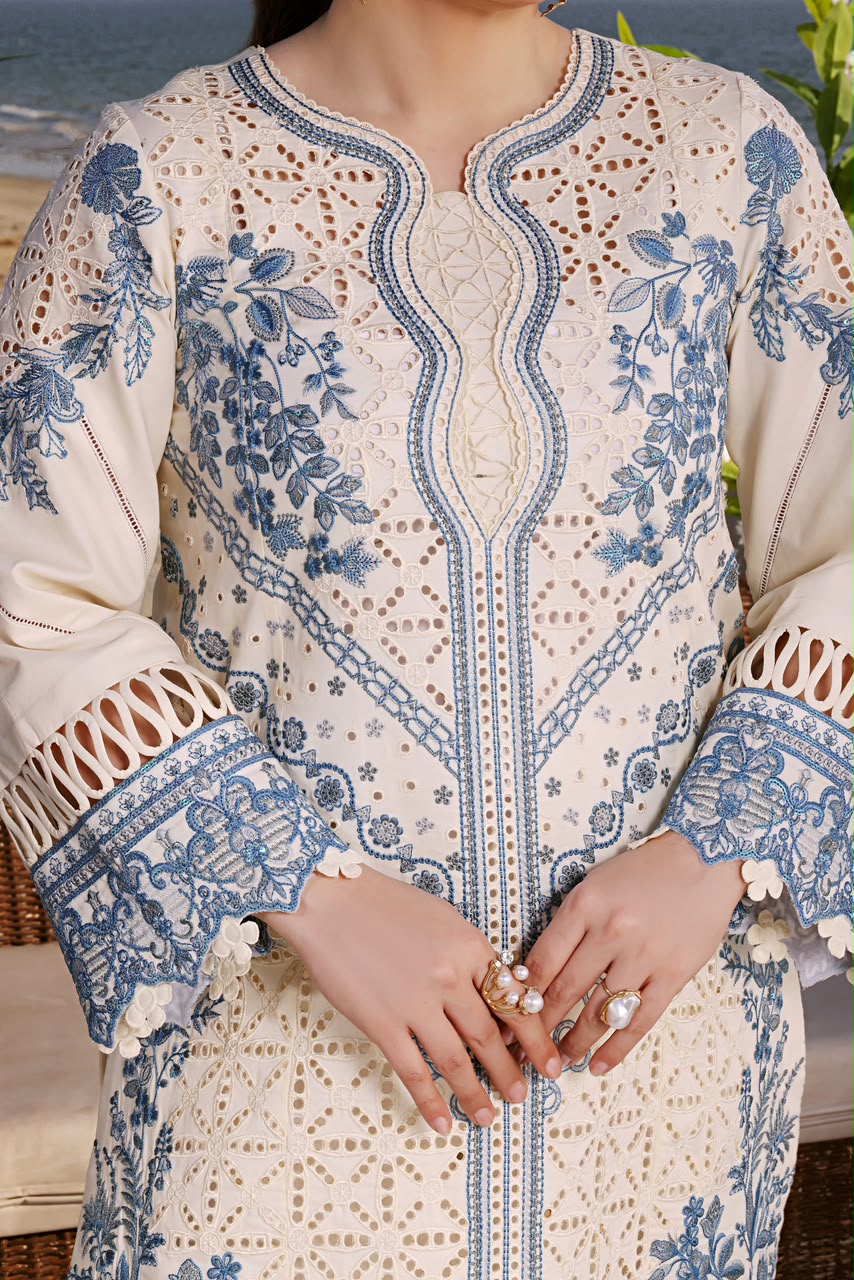 Ivory blue chikankari cotton suit front embroidery and sleeve close-up
