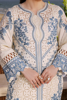 Ivory blue chikankari cotton suit front embroidery and sleeve close-up
