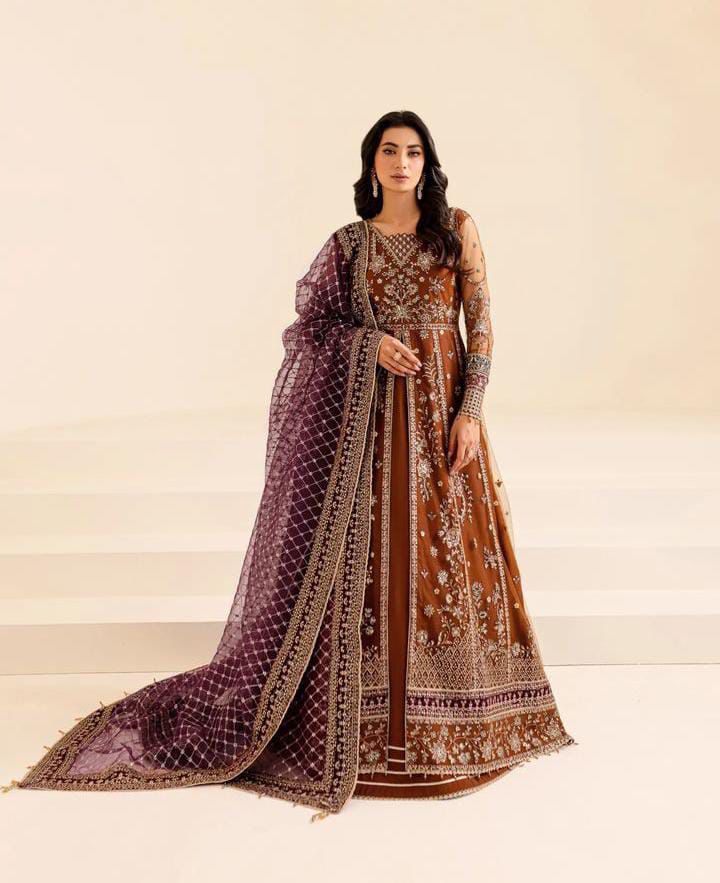 Rust brown embroidered net frock 3 piece unstitched suit front model view