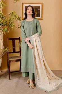 Sage green embroidered lawn 3 piece unstitched suit front model view