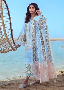 Soft Blue lawn cotton suit with premium jacquard dupatta full model view
